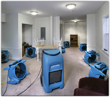 Odor Removal & Deodorization in Avondale, LA