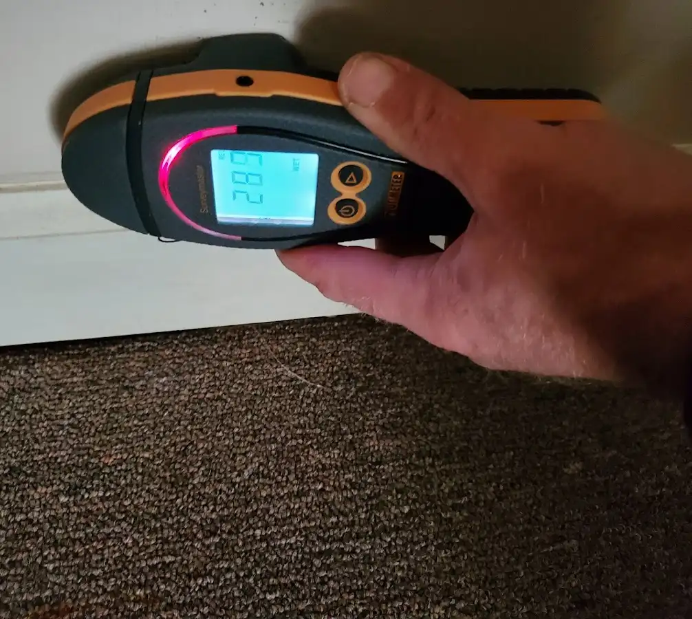 Moisture detection at baseboard during Burst Pipe Cleanup in Avondale